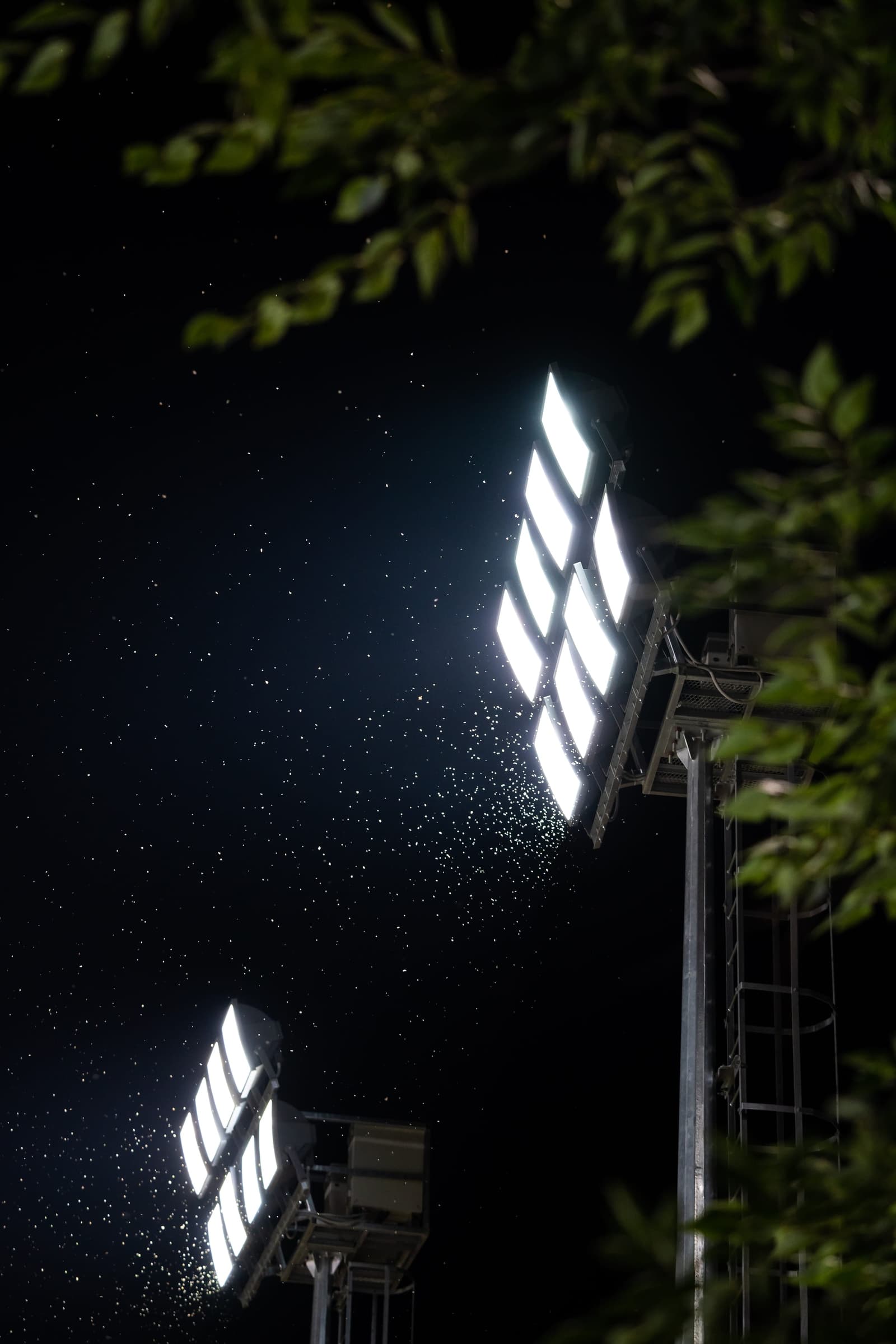 Two twin-head floodlight masts lit against a black night sky, insects rising through the beam.